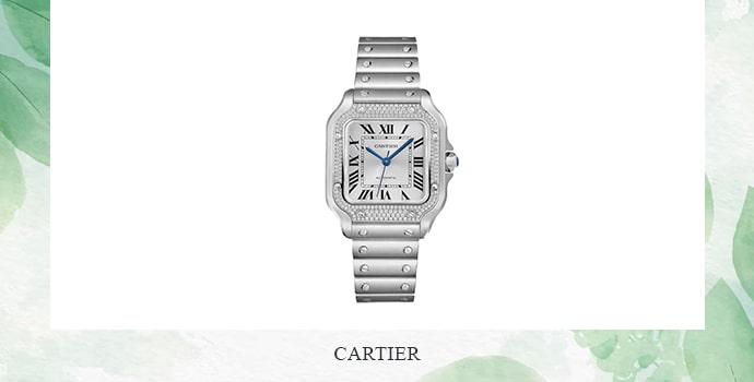 Cartier expensive watch and royal