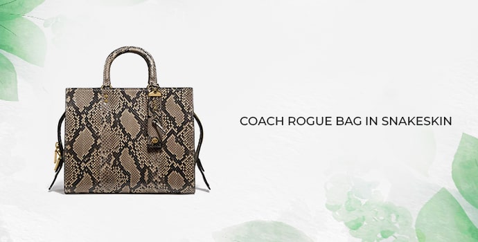 Coach Rogue Bag In Snakeskin