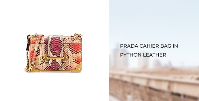 Prada Cahier Bag in Python Leather