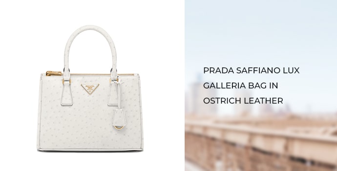 Prada Saffiano Lux Galleria Bag in Ostrich Leather