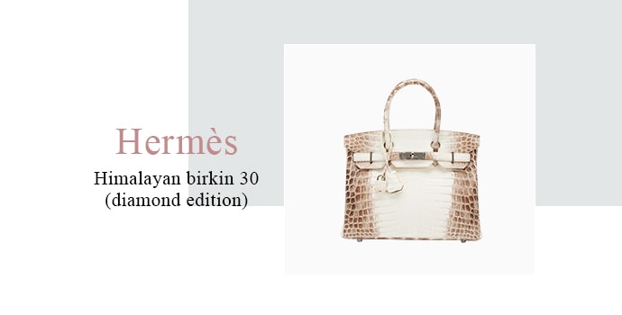 Hermès Himalayan Birkin 30