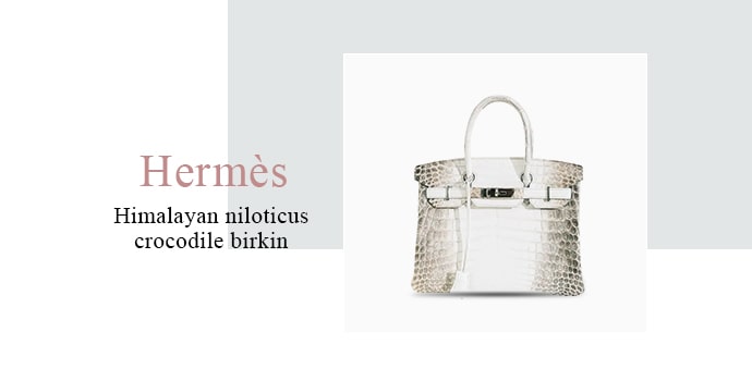 Hermès Himalayan Niloticus Crocodile Birkin