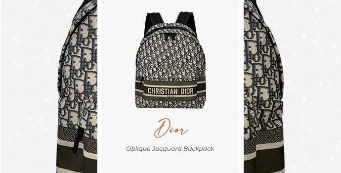 luxury laptop backpack Dior