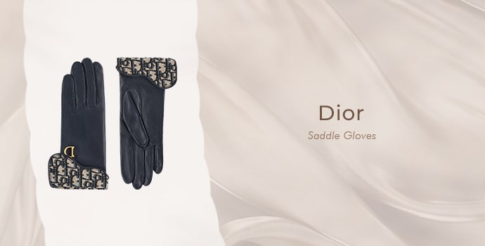 Dior Saddle Gloves