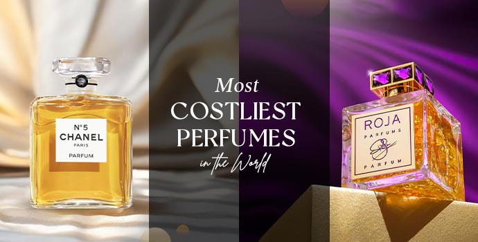 The Most Costliest Fragrance within the World – Value Each Drop?